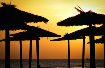 Sombrillas a contraluz al atardecer