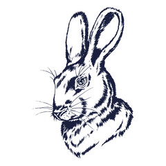 Hand drawn portrait of a rabbit. Rabbit head sketch. Rabbit framed with brushstroke and iris flowers.