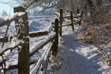 Stary drewniany płot pokryty czapami śniegu. Zima na wsi, w lesie. Ścieżka przyrodnicza...