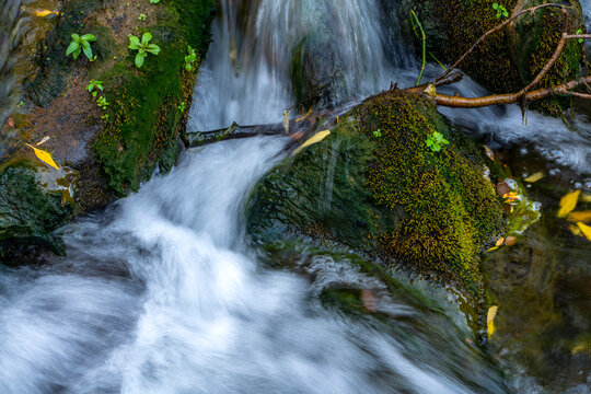 Slow shutter speed image of a small creek and water cascading over mossy rocks and fallen tree branches; Richfield, Utah, United States of America