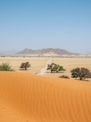 Fototapeta na wymiar View from Elim Dunes, Namib Naukluft park, Namibia