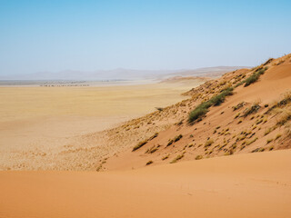 Fototapeta na wymiar View from Elim Dunes, Namib Naukluft park, Namibia