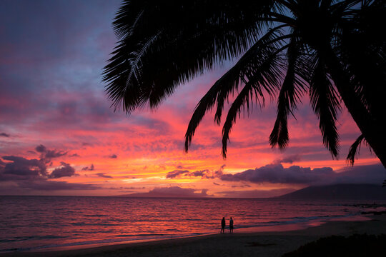 Silhouette of palm trees and two people watching the sunset on Keawakapu Beach; Wailea, Maui, Hawaii, United States of America