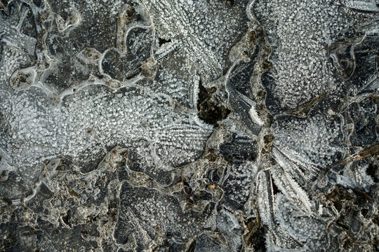 Intricate ice patterns on streets; Sitka, Alaska, United States of America
