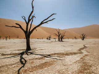 Deadvlei, a white clay pan located near the more famous salt pan of Sossusvlei, inside the Namib-Naukluft Park in Namibia