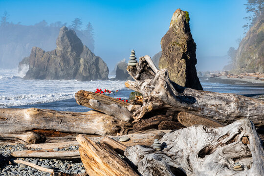 Sea Stacks at Ruby Beach, Olympic National Park, Washington Coast, USA