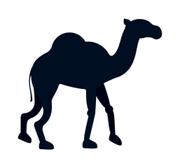 camel silhouette design
