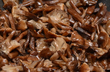 stewed mushrooms in a pan close-up