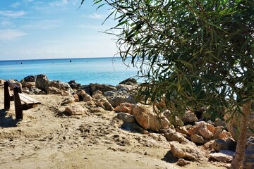 Beach with palm trees, Konnos Beach, Cyprus,  - obrazy, fototapety, plakaty