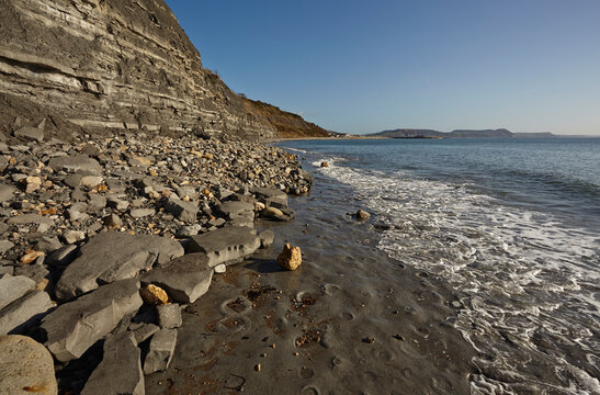 Monmouth Beach, a location where ammonite fossils are found in rock, Lyme Regis, on the Jurassic Coast, Dorset, Great Britain; Lyme Regis, Dorset, England