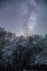 Milky Way in the winter forest  Forest in the night . Night landscape. Nightsky and clouds . Stars in the sky . Lights of the moon  . Evening forest  . Landscapes of Ukraine . Night and morning time 