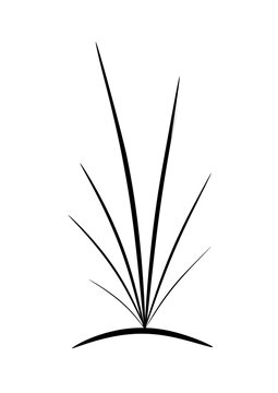 stilisierte darstellung einer pflanze gras
