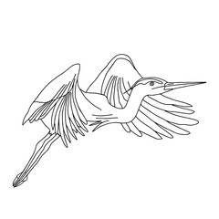 Hand-drawn black vector illustration of one gray heron bird is flying on a white background for coloring book