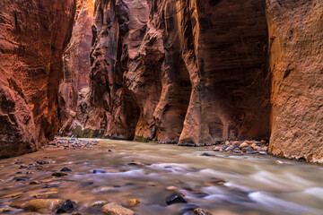 Wall Street Bounce Light Beckons