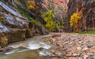 The Canyon Narrows