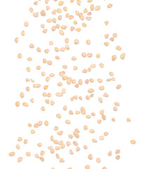 Peanut flying explosion, brown grain peanuts explode abstract cloud fly. Beautiful complete seed pea peanut splash in air, food object design. Selective focus freeze shot black background isolated