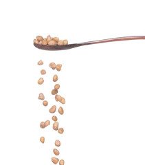 Peanut fall, brown grain peanuts explode abstract cloud fly from wooden spoon. Beautiful complete seed pea peanuts, food object design. Selective focus freeze shot white background isolated