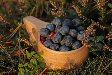 Wooden mug full of fresh ripe blueberries and lingonberries in grass
