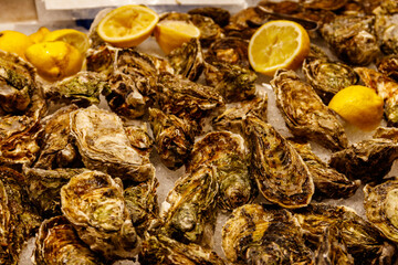 Fresh oysters on ice in a market