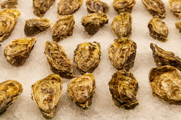 Fresh oysters on ice in a market