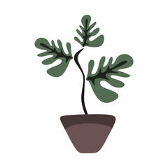 Obraz premium vector illustration, cute leaf plant on pot, flat cartoon design style.