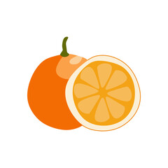 vector illustration, fresh orange, flat cartoon design style. editable graphic resources for many purposes.