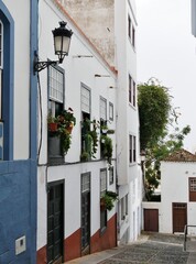Fototapeta na wymiar Alte Häuser in einer Gasse in Santa Cruz La Palma