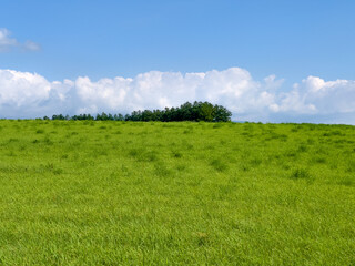 Summer hills and sky with expansive fields