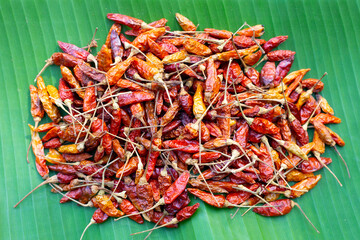 Fototapeta premium Hot red dried chili peppers