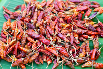 Hot red dried chili peppers