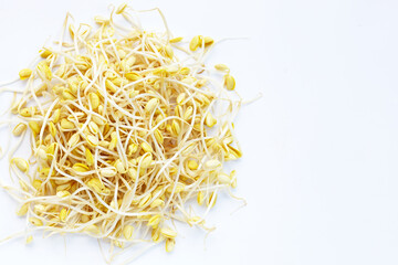 Fresh soybean sprouts for cooking.