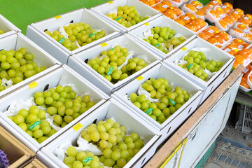 シャインマスカットの直売