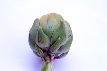 Fresh artichoke on white background.