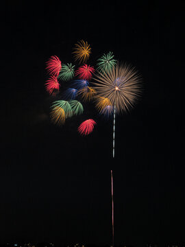 colorful fire works in night sky