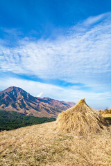 Naklejka premium 阿蘇 箱石峠展望所から見る秋の風景 
