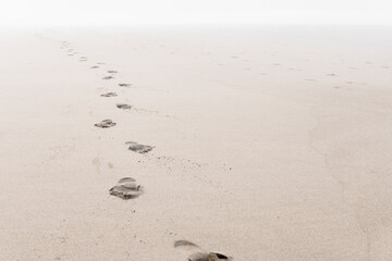 footprints in sand, sand, pacific northwest, la Push, beach