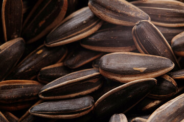 Sunflower seeds are technically the fruits of the sunflower plant Helianthus annuus