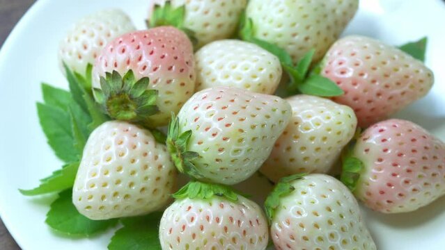 Fresh strawberries in white plate on wooden background,  White strawberries Pine berry or Hula strawberry on table background.