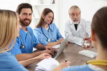 Doctor and interns on lecture in university