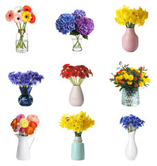 Obraz premium Collage with various beautiful flowers in vases on white background