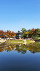 경복궁, 한국, 가을, 전통, Gyeongbokgung Palace, Korea, Autumn, Traditions