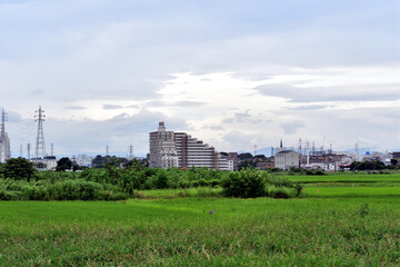 【埼玉県富士見市】田園