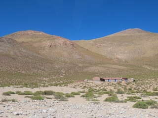 landscape with the road