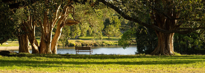Empty park bench on the edge of a calm blue lake surrounded by trees in evening light