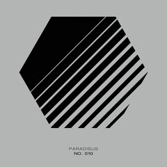 Vector hexagonal icon. Minimalistic hexagonal logo. Elegant hexagonal logo label. Geometric shapes. Abstract art. Vector illustration