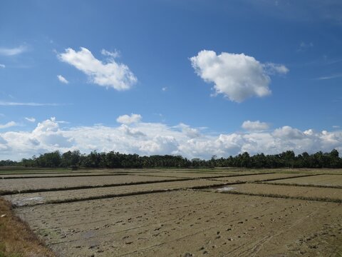 farm land in sunny day, Kendari Indonesia