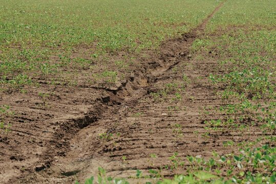 row crop agriculture farm features