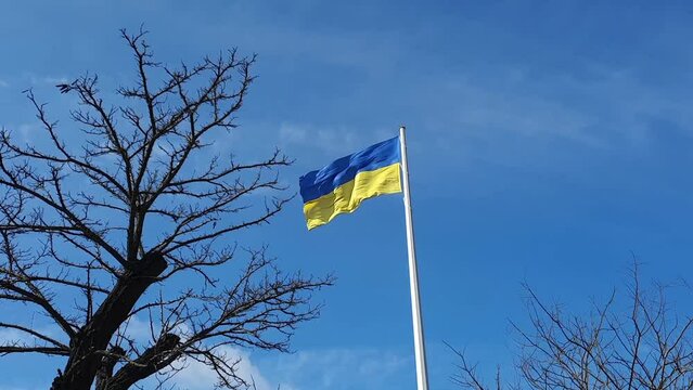 Ukrainian flag waving in the air.