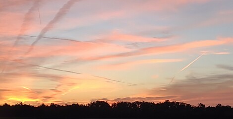 sunset over the field
