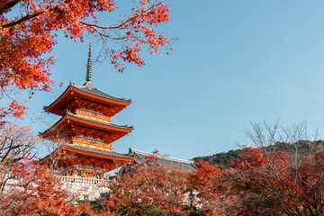 Kiyomizu-dera Temple and autumn maple in Kyoto, Japan